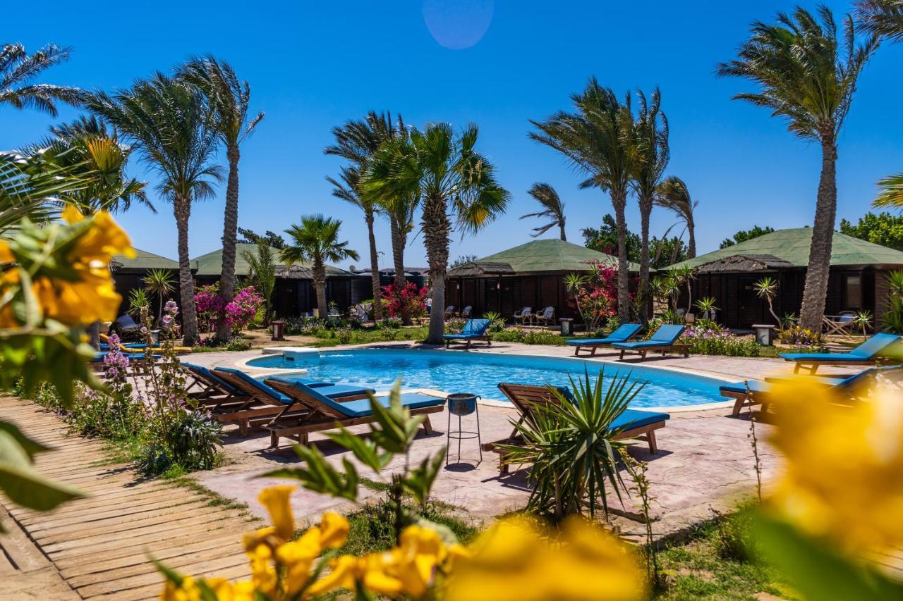 Abu Dabbab Lodge Eksteriør bilde