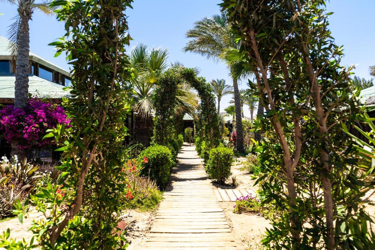 Abu Dabbab Lodge Eksteriør bilde