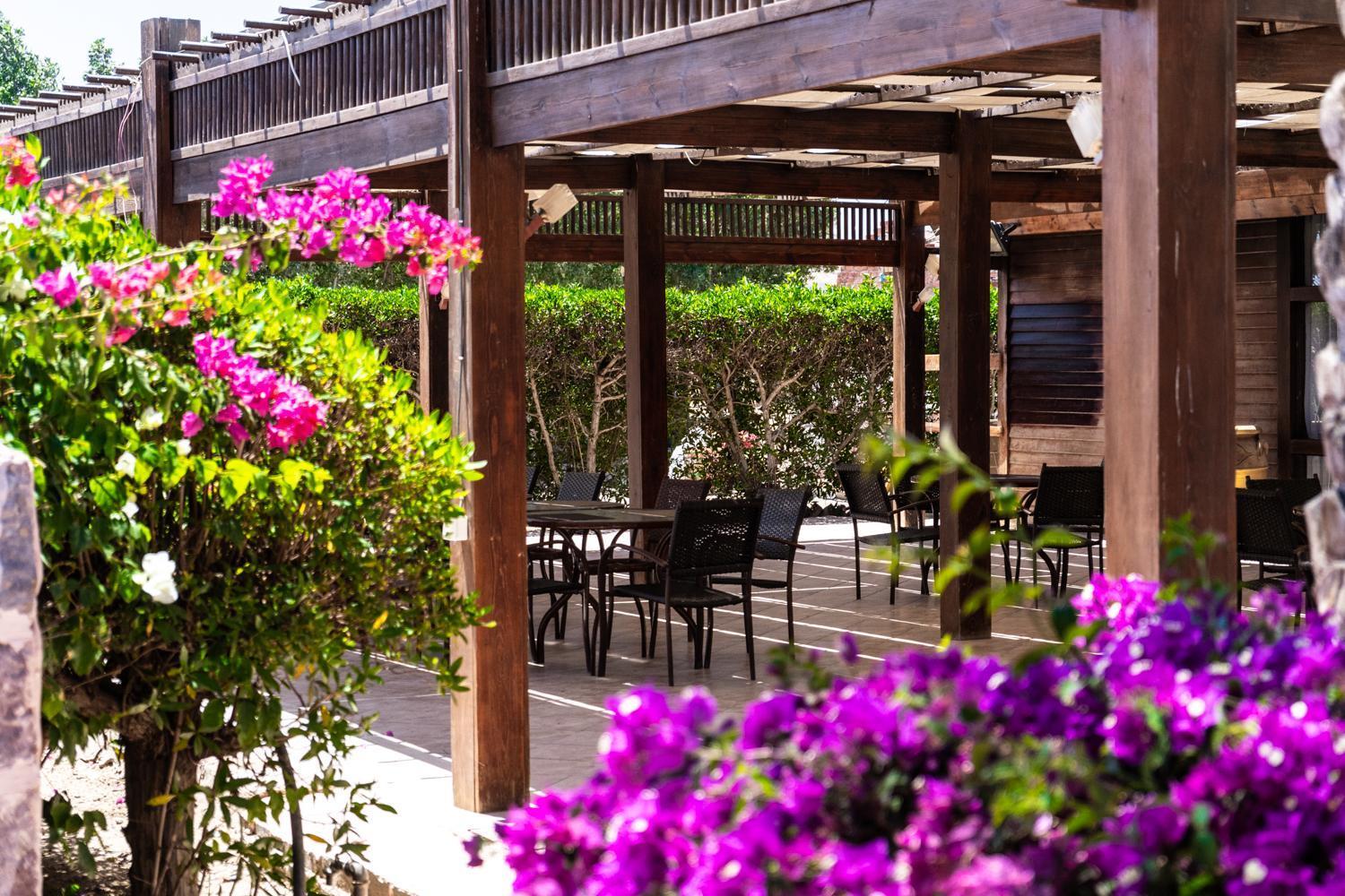 Abu Dabbab Lodge Eksteriør bilde