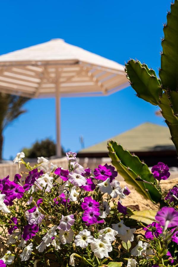 Abu Dabbab Lodge Eksteriør bilde